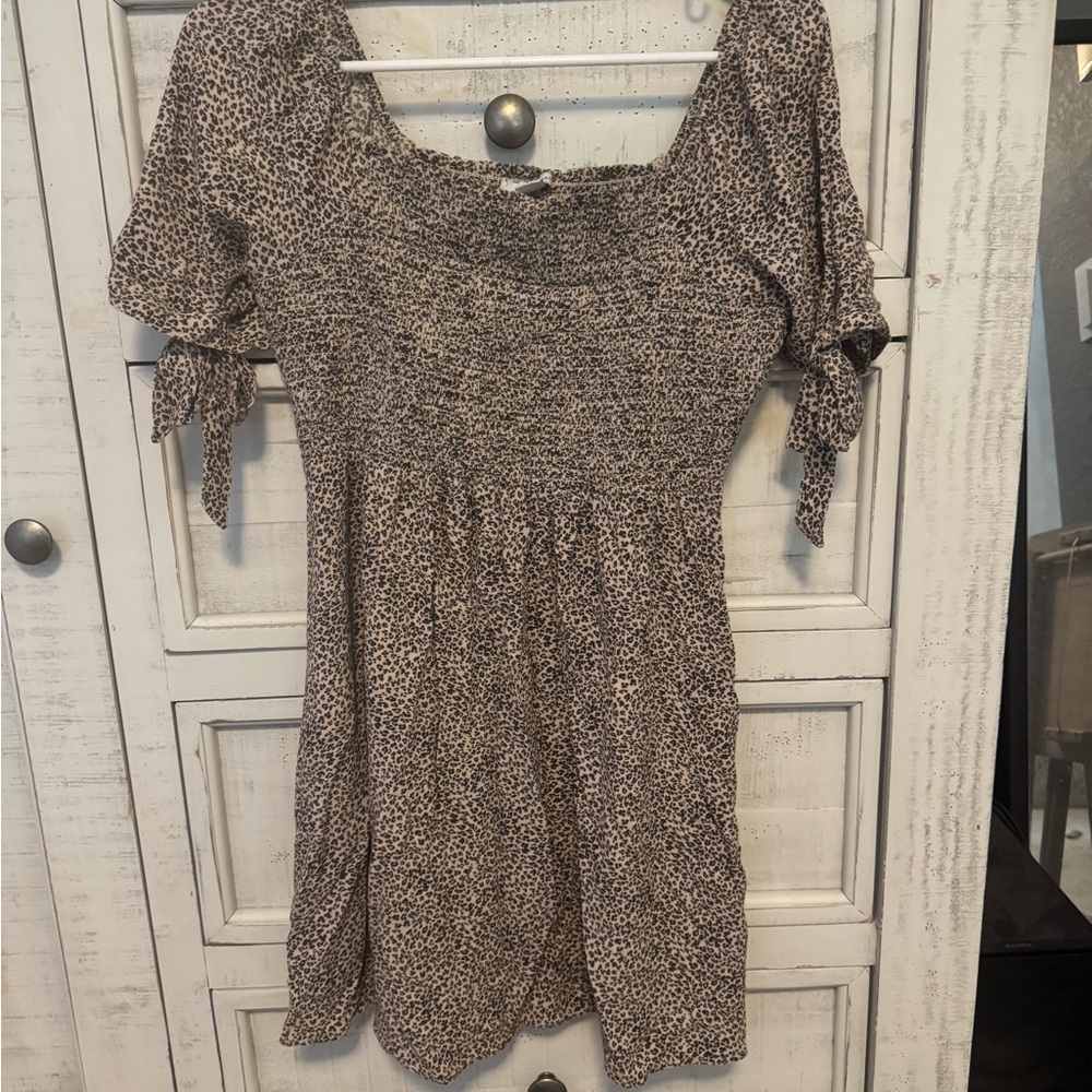 American Eagle Outfitters Leopard Print Mini Dress